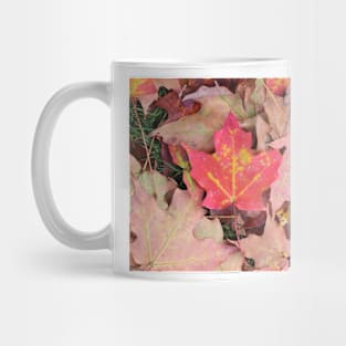 Maple Leaves on the Ground Mug